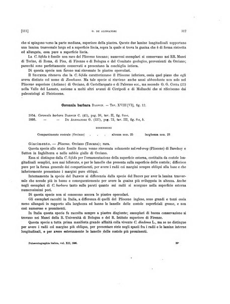 Palaeontographia Italica raccolta di monografie paleontologiche fondata da Mario Canavari nell'anno 1895