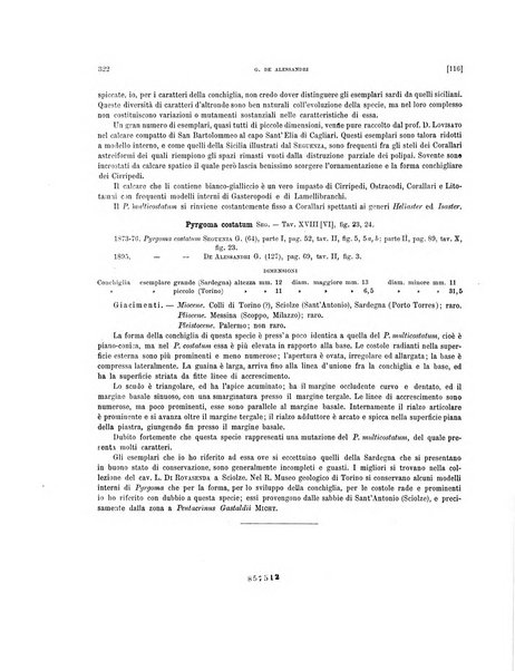 Palaeontographia Italica raccolta di monografie paleontologiche fondata da Mario Canavari nell'anno 1895