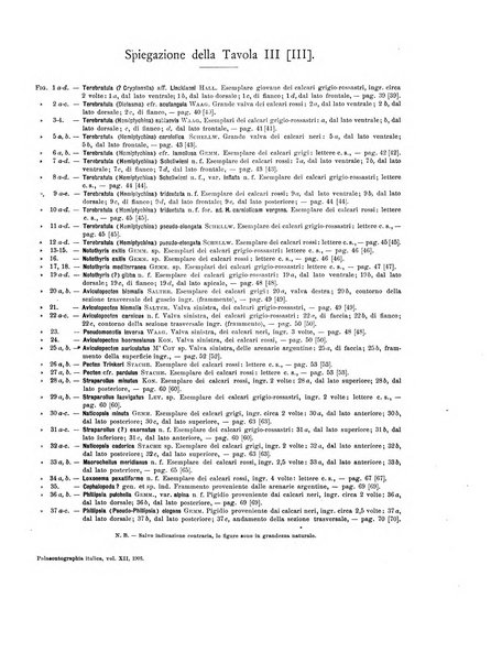 Palaeontographia Italica raccolta di monografie paleontologiche fondata da Mario Canavari nell'anno 1895