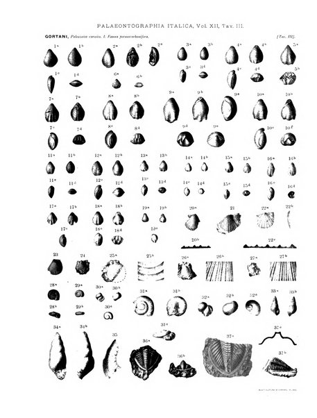 Palaeontographia Italica raccolta di monografie paleontologiche fondata da Mario Canavari nell'anno 1895