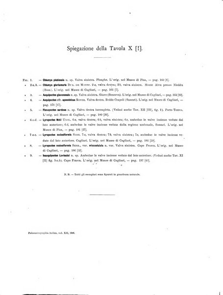 Palaeontographia Italica raccolta di monografie paleontologiche fondata da Mario Canavari nell'anno 1895