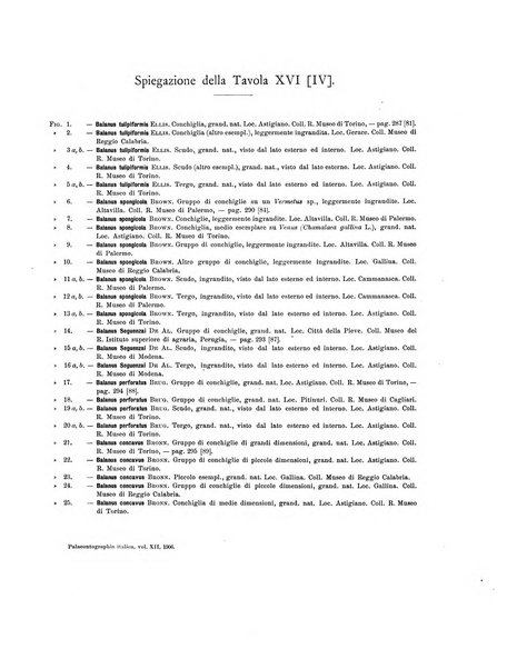 Palaeontographia Italica raccolta di monografie paleontologiche fondata da Mario Canavari nell'anno 1895