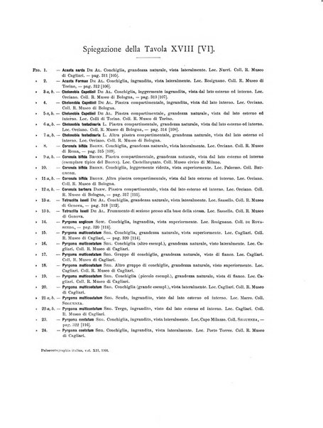 Palaeontographia Italica raccolta di monografie paleontologiche fondata da Mario Canavari nell'anno 1895