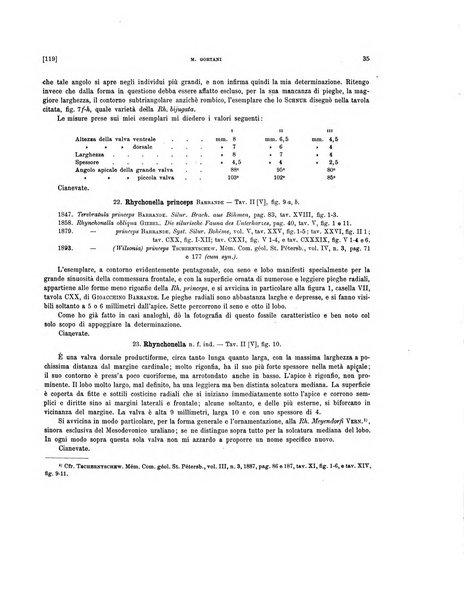 Palaeontographia Italica raccolta di monografie paleontologiche fondata da Mario Canavari nell'anno 1895