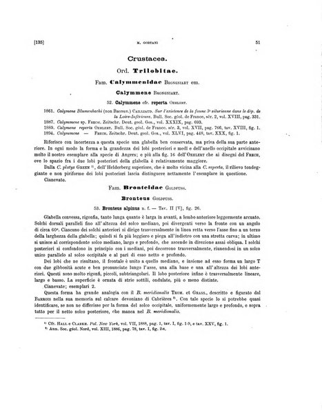 Palaeontographia Italica raccolta di monografie paleontologiche fondata da Mario Canavari nell'anno 1895