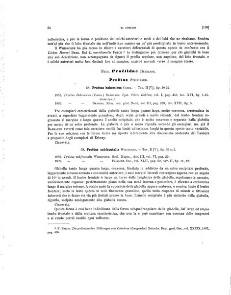 Palaeontographia Italica raccolta di monografie paleontologiche fondata da Mario Canavari nell'anno 1895