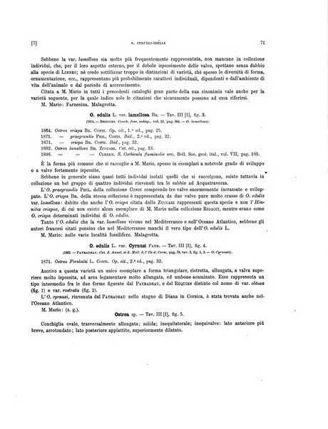 Palaeontographia Italica raccolta di monografie paleontologiche fondata da Mario Canavari nell'anno 1895