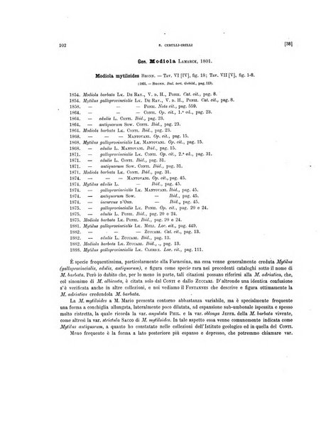 Palaeontographia Italica raccolta di monografie paleontologiche fondata da Mario Canavari nell'anno 1895