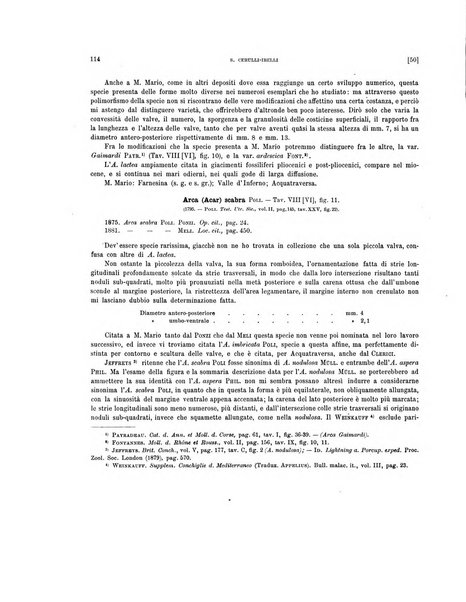 Palaeontographia Italica raccolta di monografie paleontologiche fondata da Mario Canavari nell'anno 1895