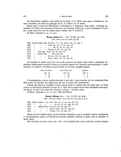 Palaeontographia Italica raccolta di monografie paleontologiche fondata da Mario Canavari nell'anno 1895