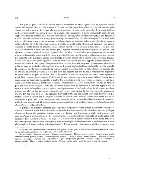 Palaeontographia Italica raccolta di monografie paleontologiche fondata da Mario Canavari nell'anno 1895