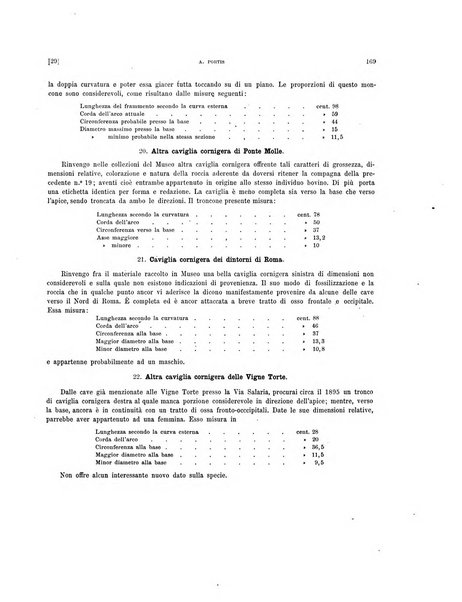 Palaeontographia Italica raccolta di monografie paleontologiche fondata da Mario Canavari nell'anno 1895