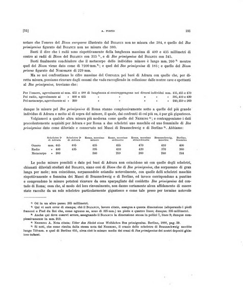 Palaeontographia Italica raccolta di monografie paleontologiche fondata da Mario Canavari nell'anno 1895