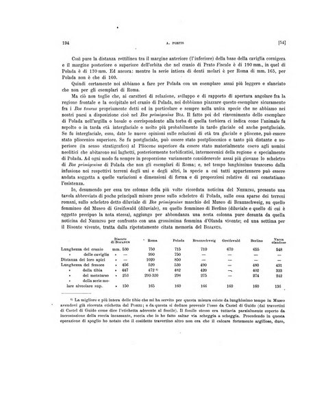 Palaeontographia Italica raccolta di monografie paleontologiche fondata da Mario Canavari nell'anno 1895