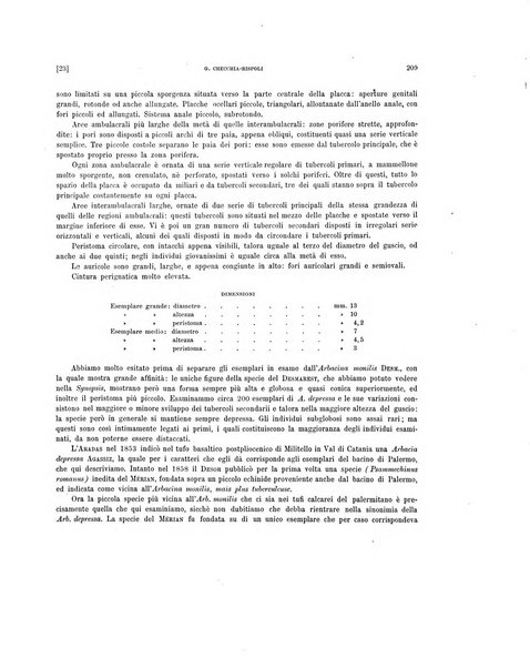 Palaeontographia Italica raccolta di monografie paleontologiche fondata da Mario Canavari nell'anno 1895