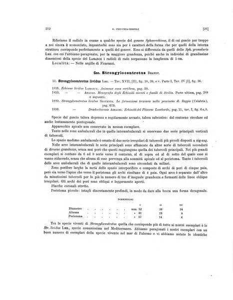 Palaeontographia Italica raccolta di monografie paleontologiche fondata da Mario Canavari nell'anno 1895