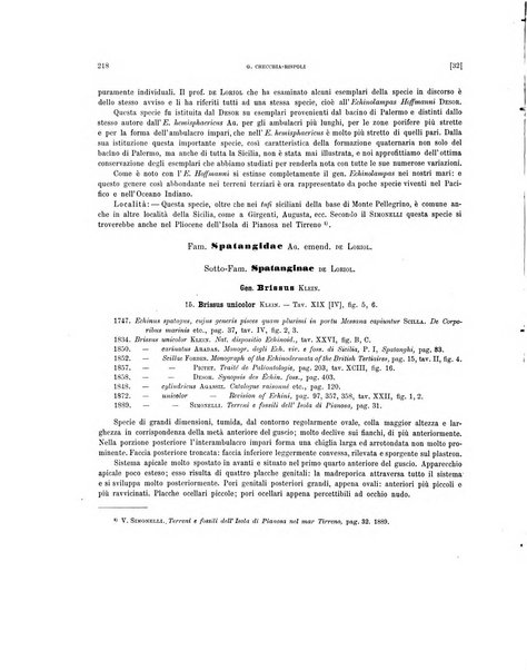 Palaeontographia Italica raccolta di monografie paleontologiche fondata da Mario Canavari nell'anno 1895