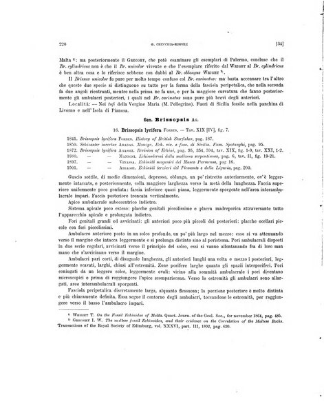 Palaeontographia Italica raccolta di monografie paleontologiche fondata da Mario Canavari nell'anno 1895