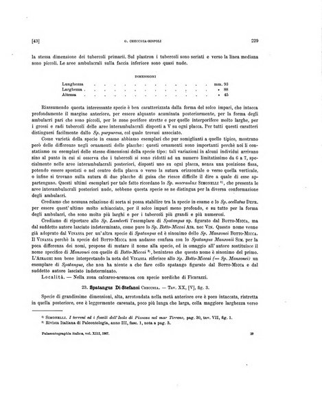 Palaeontographia Italica raccolta di monografie paleontologiche fondata da Mario Canavari nell'anno 1895