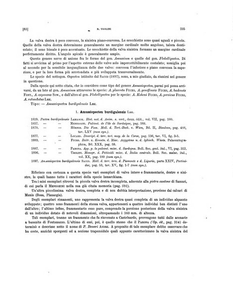 Palaeontographia Italica raccolta di monografie paleontologiche fondata da Mario Canavari nell'anno 1895