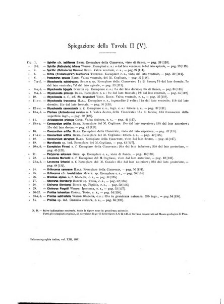 Palaeontographia Italica raccolta di monografie paleontologiche fondata da Mario Canavari nell'anno 1895