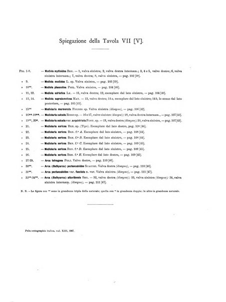 Palaeontographia Italica raccolta di monografie paleontologiche fondata da Mario Canavari nell'anno 1895