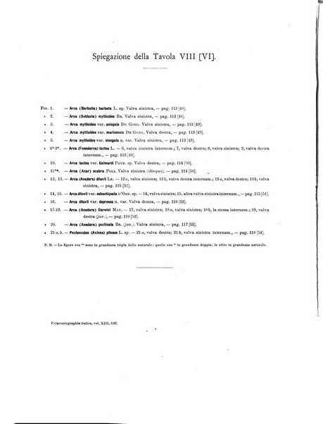 Palaeontographia Italica raccolta di monografie paleontologiche fondata da Mario Canavari nell'anno 1895