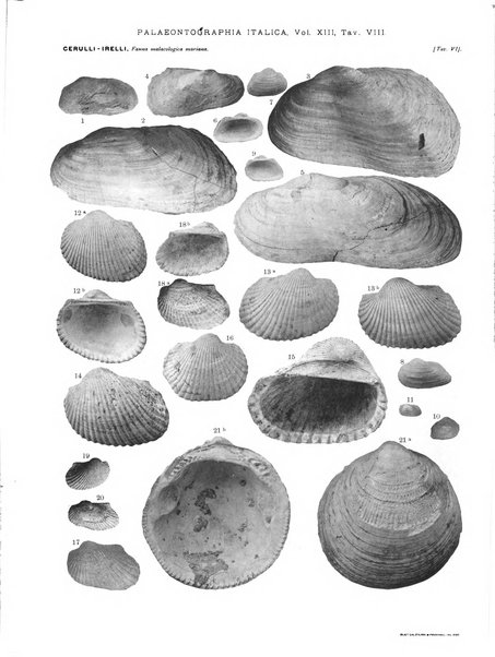 Palaeontographia Italica raccolta di monografie paleontologiche fondata da Mario Canavari nell'anno 1895