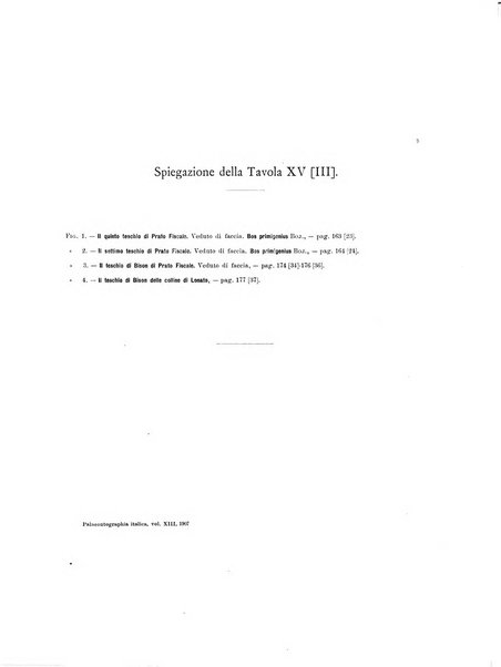 Palaeontographia Italica raccolta di monografie paleontologiche fondata da Mario Canavari nell'anno 1895