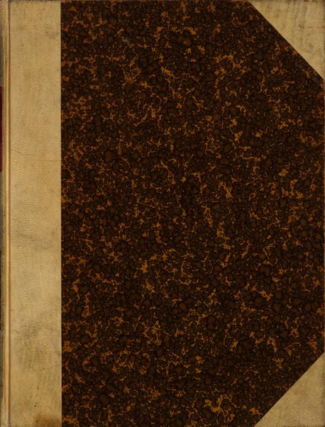 Palaeontographia Italica raccolta di monografie paleontologiche fondata da Mario Canavari nell'anno 1895