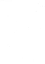 giornale/VEA0025754/1908/unico/00000010