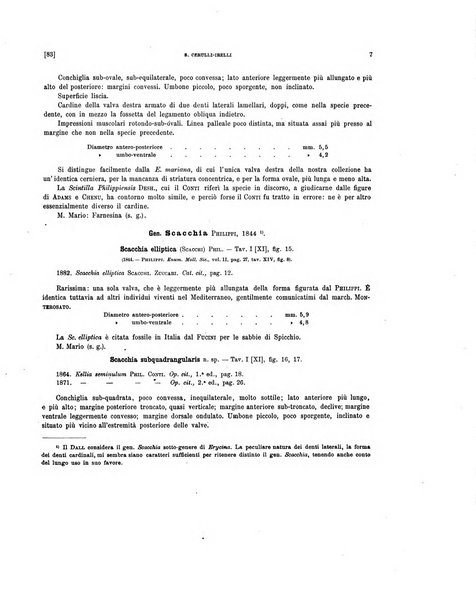 Palaeontographia Italica raccolta di monografie paleontologiche fondata da Mario Canavari nell'anno 1895