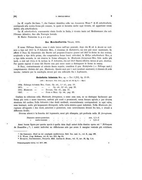 Palaeontographia Italica raccolta di monografie paleontologiche fondata da Mario Canavari nell'anno 1895