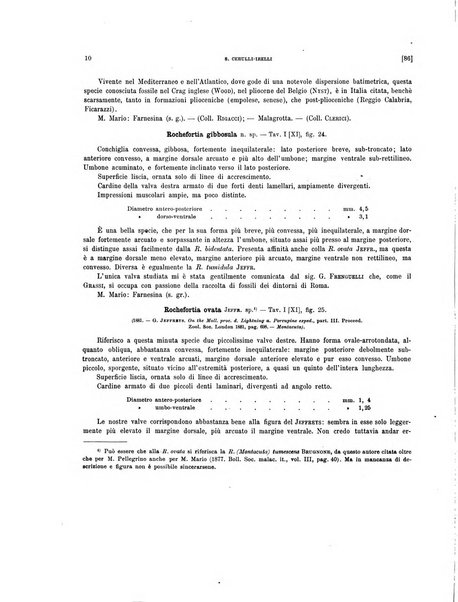 Palaeontographia Italica raccolta di monografie paleontologiche fondata da Mario Canavari nell'anno 1895