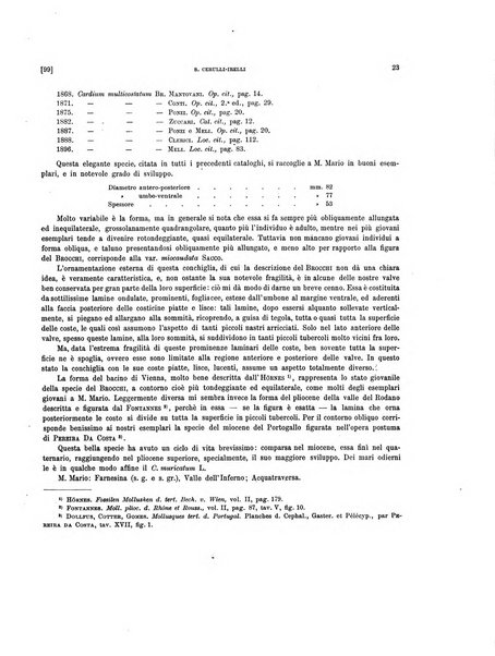 Palaeontographia Italica raccolta di monografie paleontologiche fondata da Mario Canavari nell'anno 1895