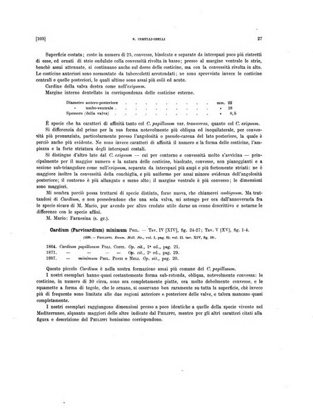 Palaeontographia Italica raccolta di monografie paleontologiche fondata da Mario Canavari nell'anno 1895