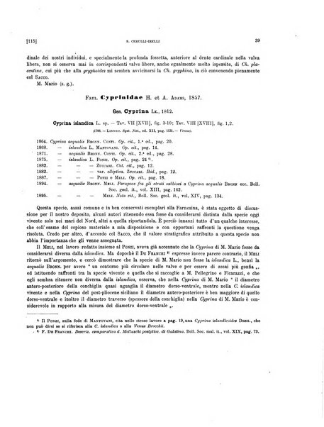 Palaeontographia Italica raccolta di monografie paleontologiche fondata da Mario Canavari nell'anno 1895