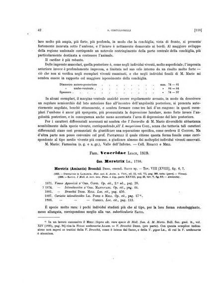 Palaeontographia Italica raccolta di monografie paleontologiche fondata da Mario Canavari nell'anno 1895