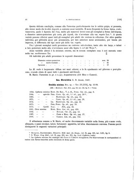 Palaeontographia Italica raccolta di monografie paleontologiche fondata da Mario Canavari nell'anno 1895