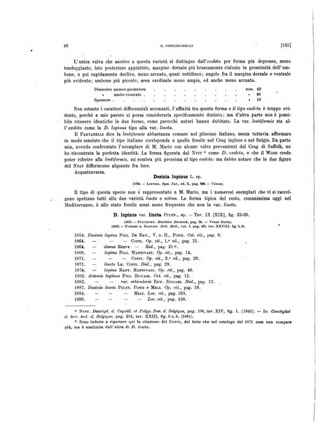 Palaeontographia Italica raccolta di monografie paleontologiche fondata da Mario Canavari nell'anno 1895