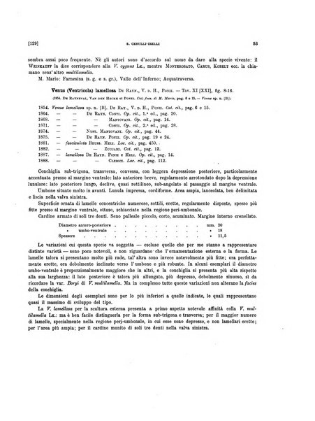 Palaeontographia Italica raccolta di monografie paleontologiche fondata da Mario Canavari nell'anno 1895