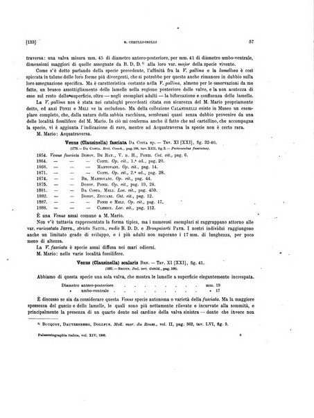 Palaeontographia Italica raccolta di monografie paleontologiche fondata da Mario Canavari nell'anno 1895