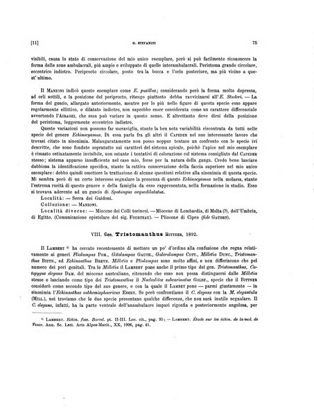 Palaeontographia Italica raccolta di monografie paleontologiche fondata da Mario Canavari nell'anno 1895