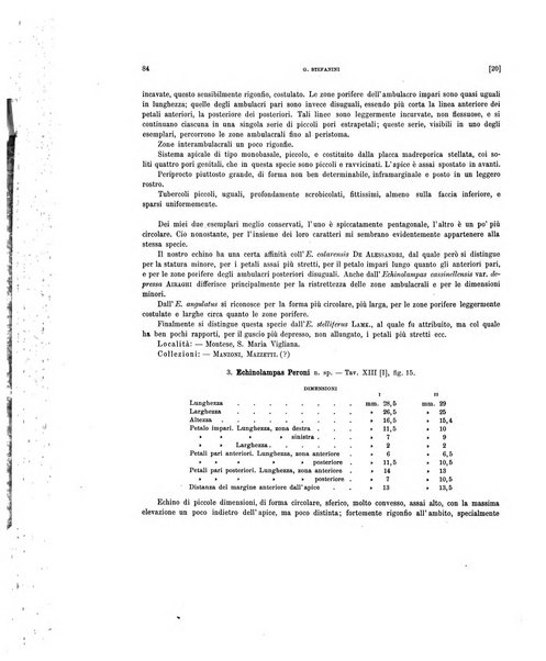 Palaeontographia Italica raccolta di monografie paleontologiche fondata da Mario Canavari nell'anno 1895