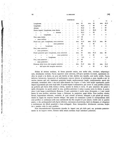 Palaeontographia Italica raccolta di monografie paleontologiche fondata da Mario Canavari nell'anno 1895