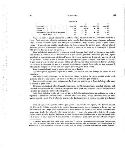 Palaeontographia Italica raccolta di monografie paleontologiche fondata da Mario Canavari nell'anno 1895