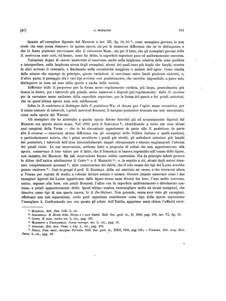 Palaeontographia Italica raccolta di monografie paleontologiche fondata da Mario Canavari nell'anno 1895