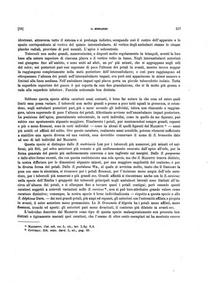 Palaeontographia Italica raccolta di monografie paleontologiche fondata da Mario Canavari nell'anno 1895