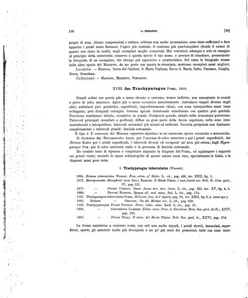 Palaeontographia Italica raccolta di monografie paleontologiche fondata da Mario Canavari nell'anno 1895