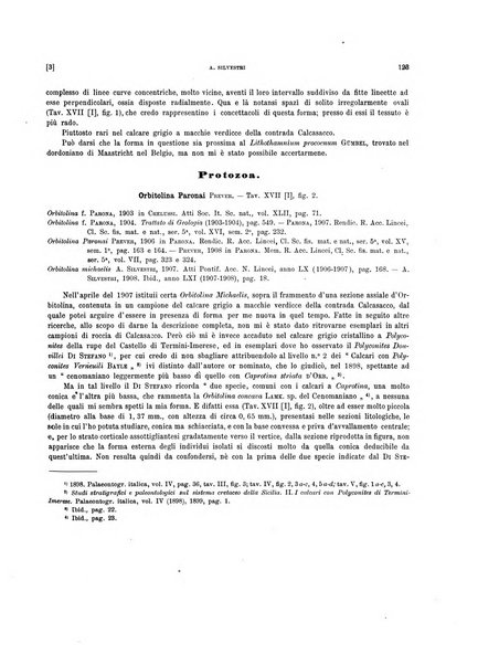 Palaeontographia Italica raccolta di monografie paleontologiche fondata da Mario Canavari nell'anno 1895